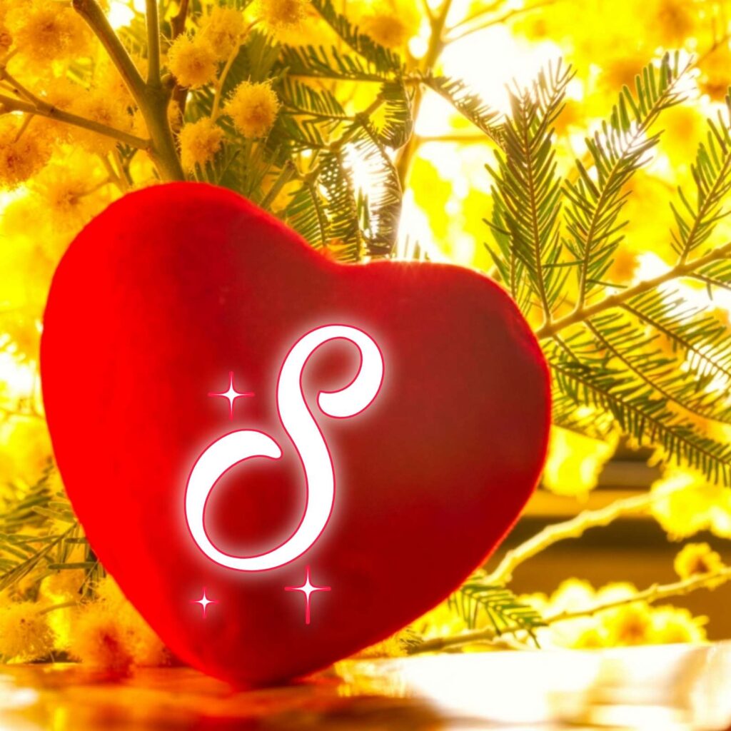 Heart S Name Love DP Image Download