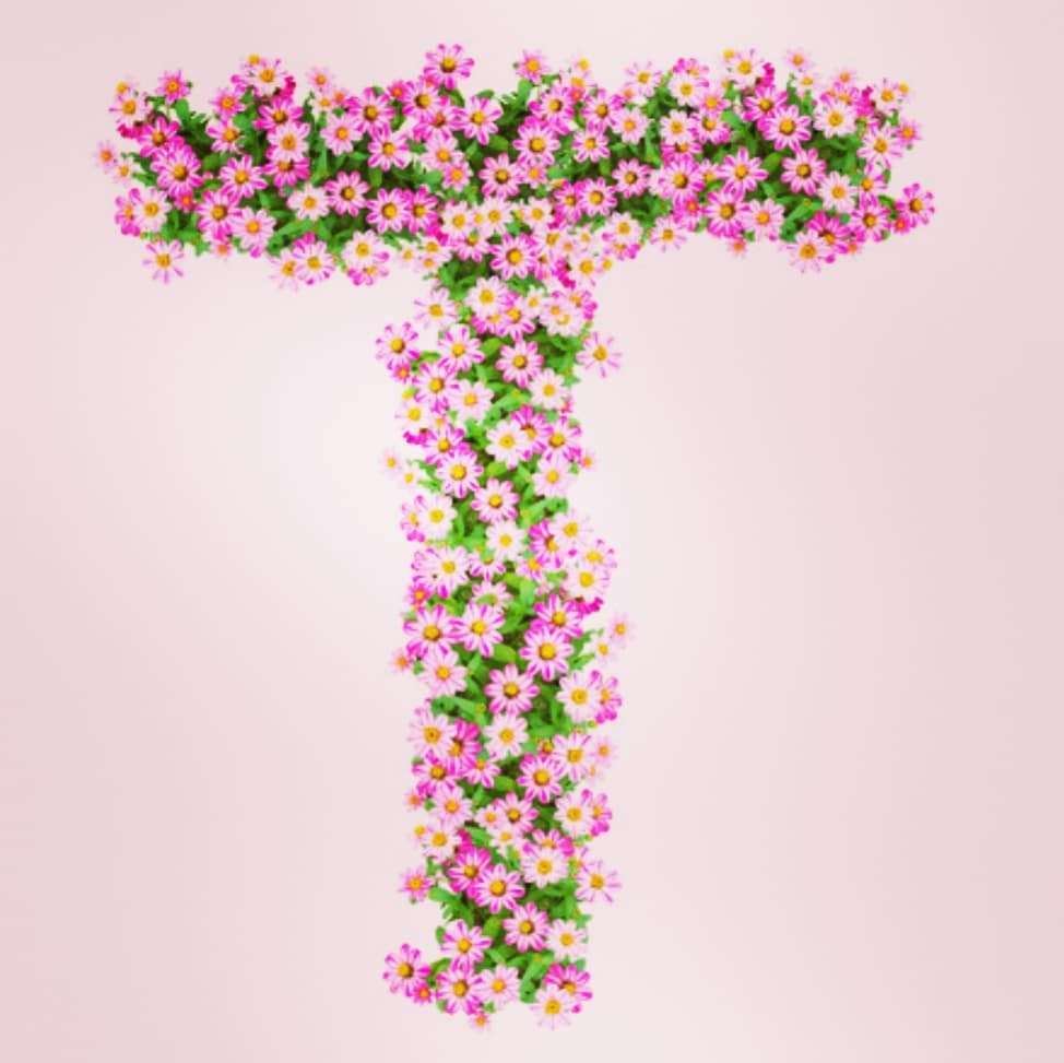 T Name Flower DP Image Download